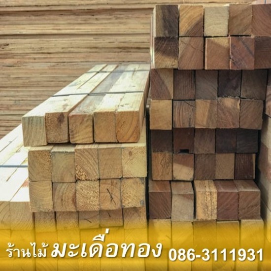 ร้านขายไม้ มะเดื่อทองประจวบคีรีขันธ์ - ขายส่งไม้เสา 4"x4"x4ม.ราคาถูกประจวบคีรีขันธ์